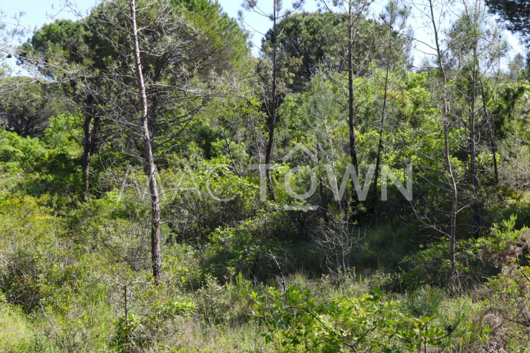Terreno para Venda em Bucelas Foto 7
