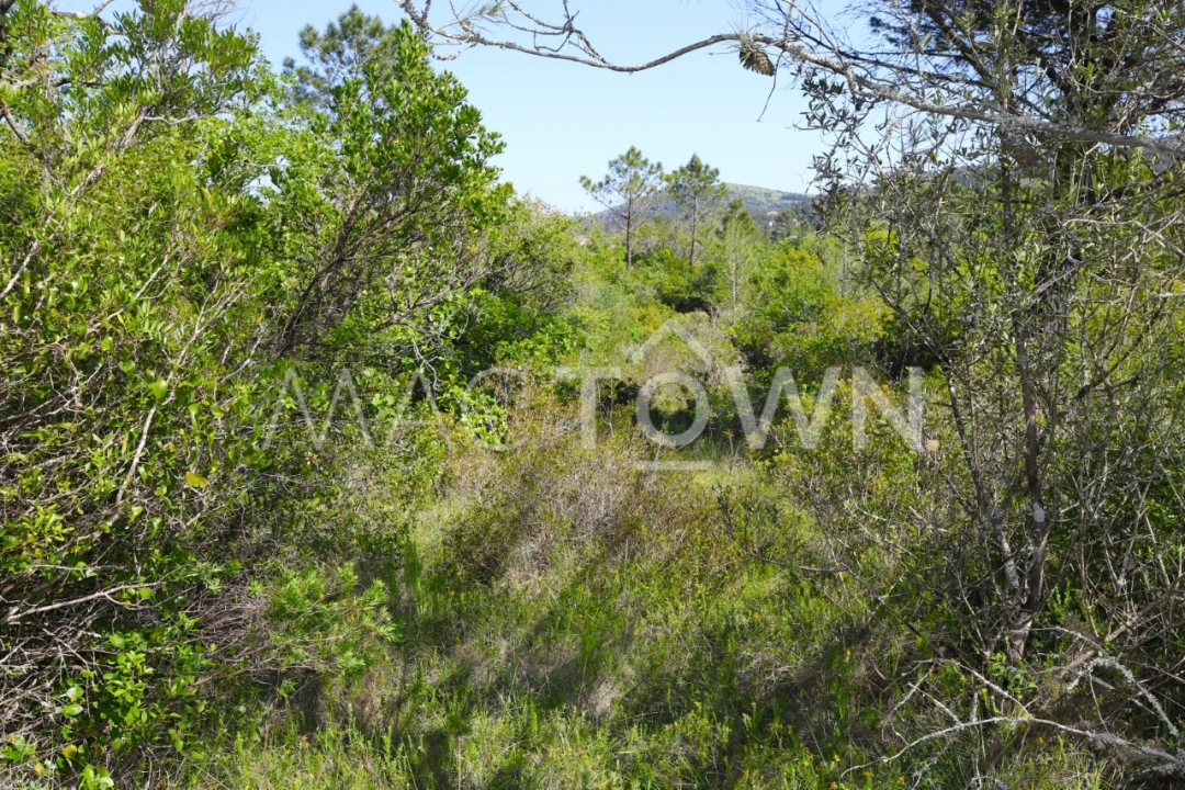 Terreno para Venda em Bucelas Foto 10