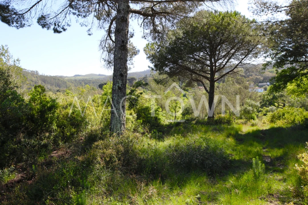 Terreno para Venda em Bucelas Foto 11