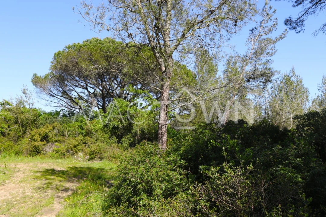Terreno para Venda em Bucelas Foto 13