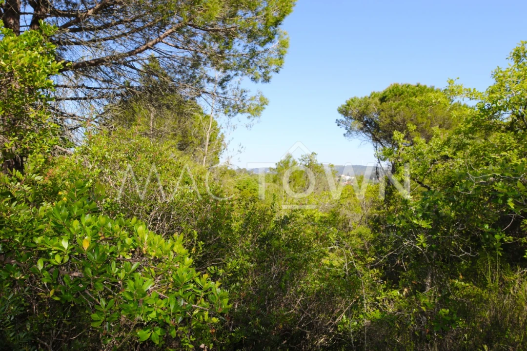 Terreno para Venda em Bucelas Foto 17