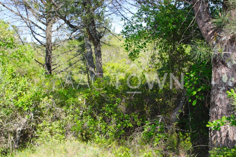 Terreno para Venda em Bucelas Foto 2
