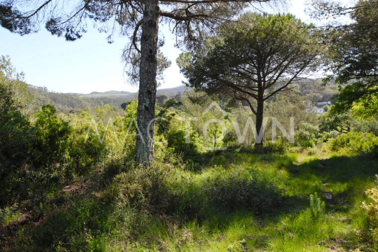 Terreno para Venda em Bucelas Foto 11
