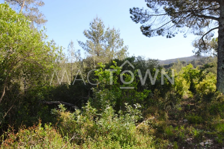 Terreno para Venda em Bucelas Foto 12