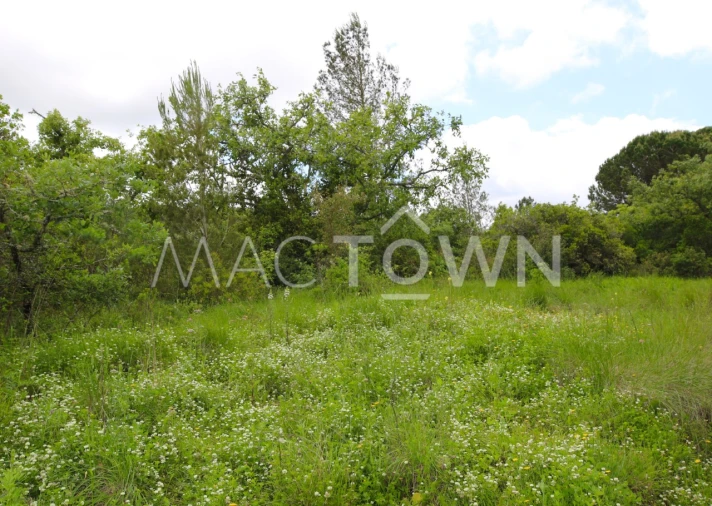 Terreno para Venda em Bucelas Foto 20