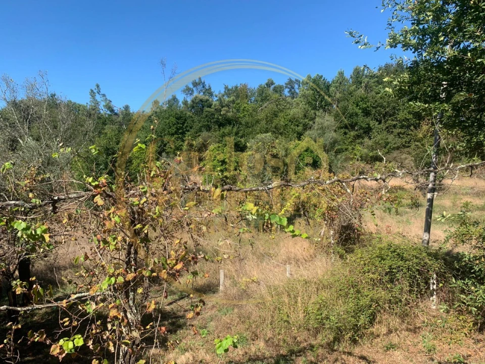 Moradia para Venda em Vade Foto 10