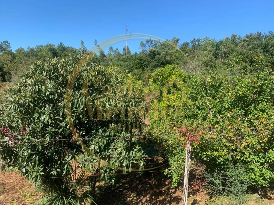 Moradia para Venda em Vade Foto 14