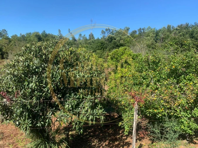 Moradia para Venda em Vade Foto 14