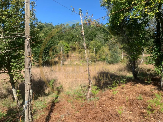 Moradia para Venda em Vade Foto 16