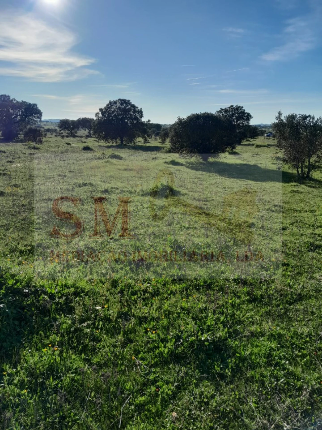 Terreno para Venda em Capelins (Santo Antonio) Foto 1