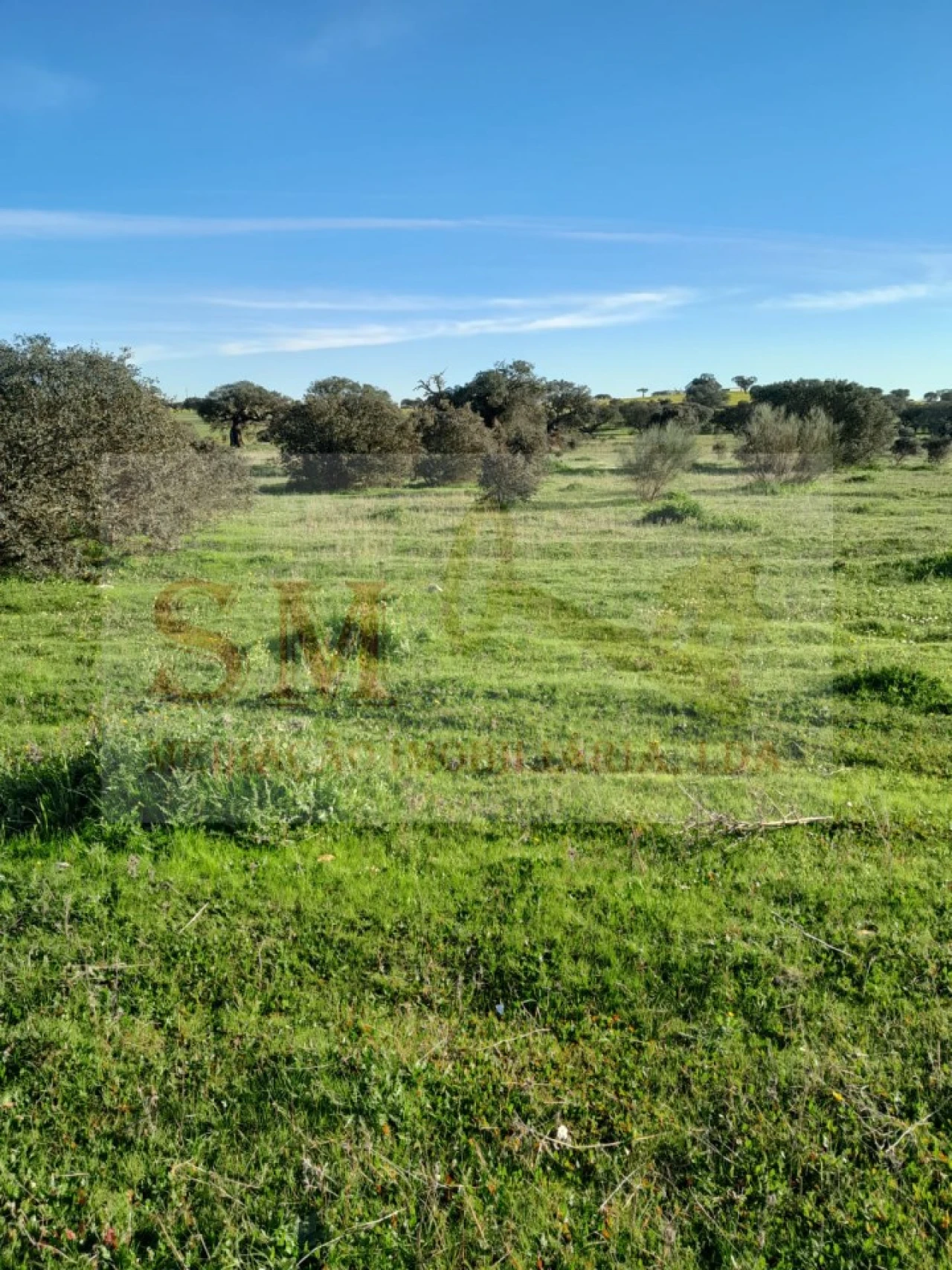 Terreno para Venda em Capelins (Santo Antonio) Foto 5