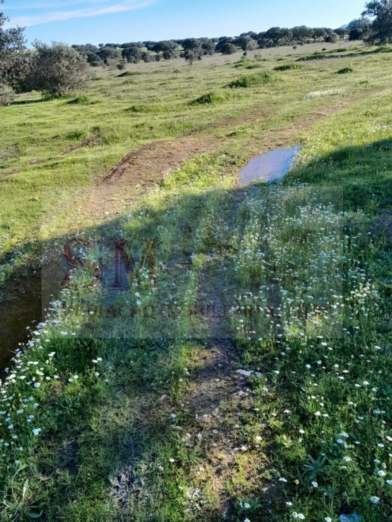 Terreno para Venda em Capelins (Santo Antonio) Foto 6