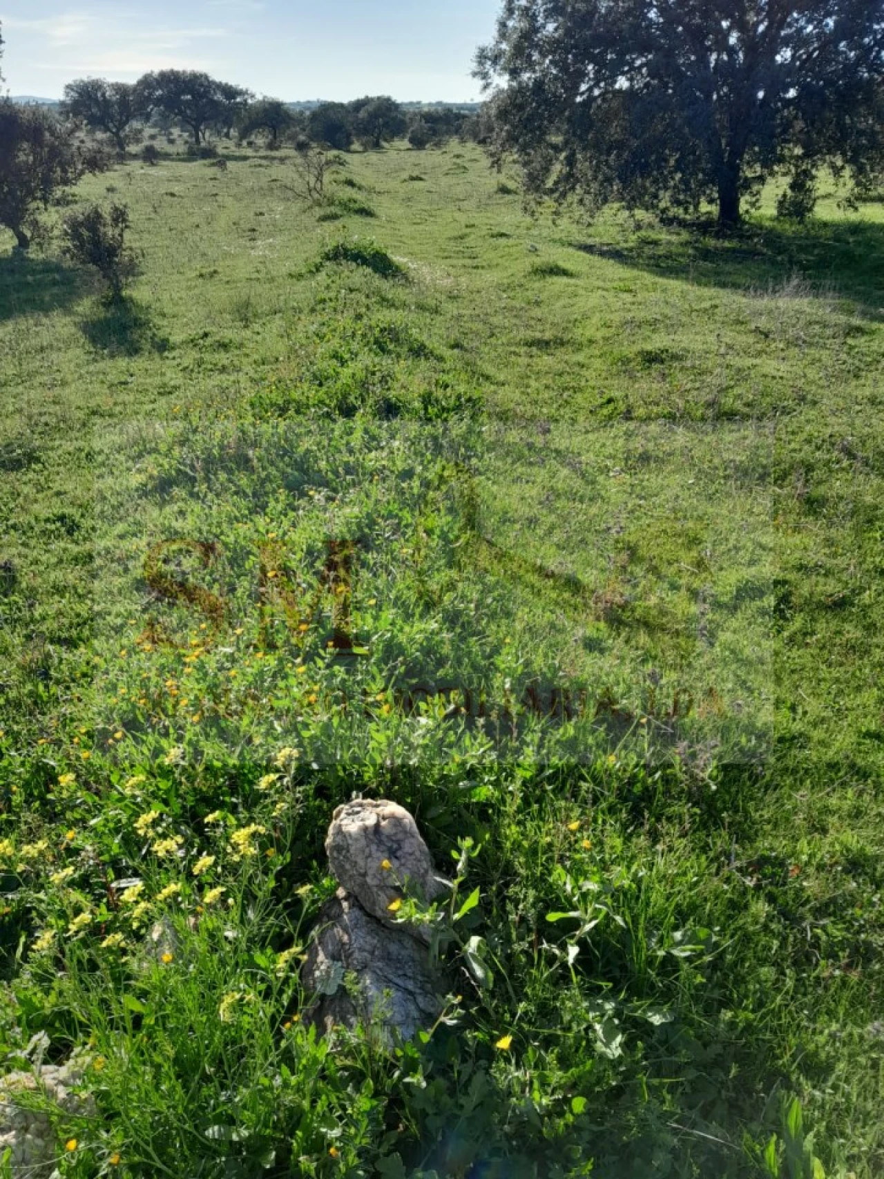 Terreno para Venda em Capelins (Santo Antonio) Foto 10