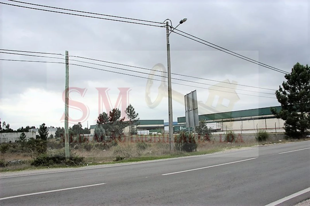 Terreno Comércio / Armazém para Venda em Quinta do Anjo Foto 3
