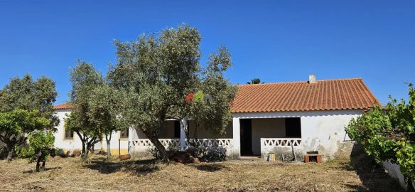 Moradia T5 para Venda em Albernoa e Trindade
