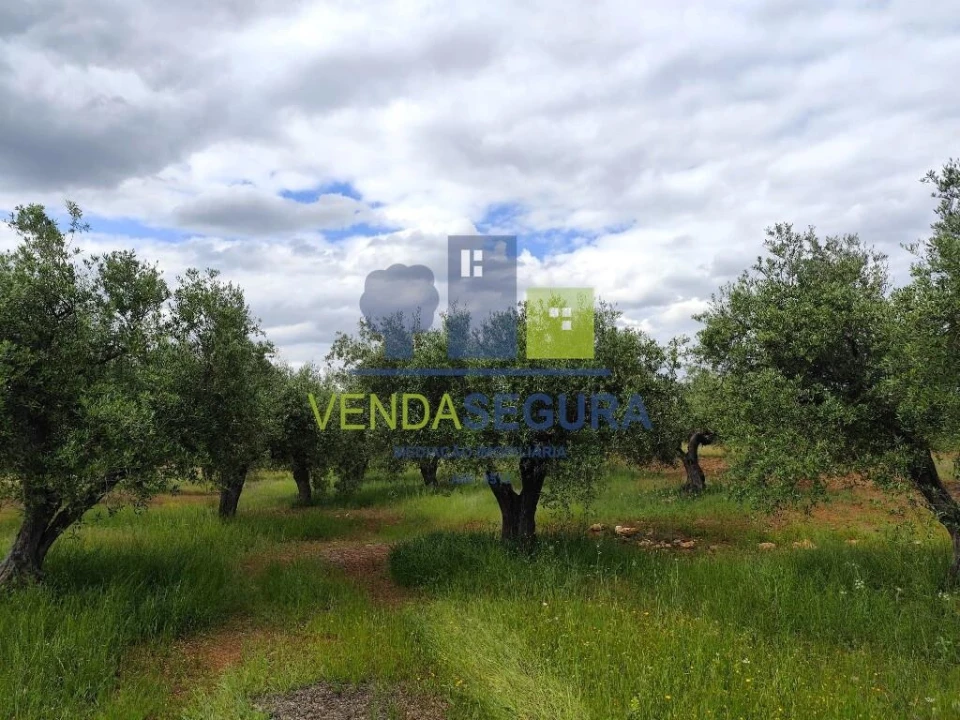 Terreno para Venda em Sobral da Adiça Foto 10