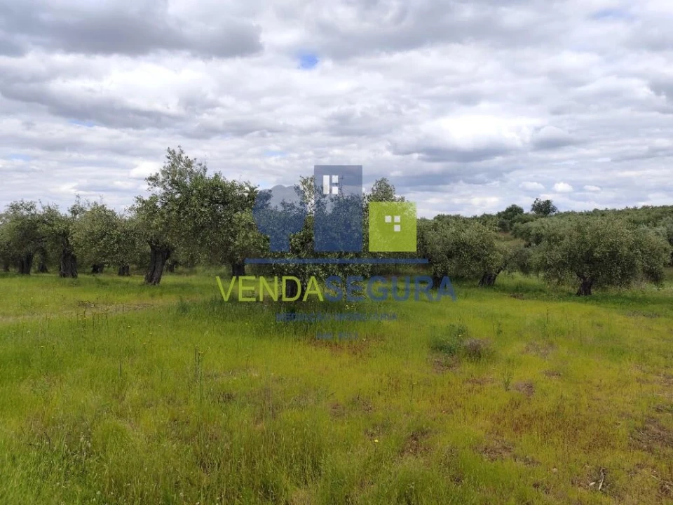 Terreno para Venda em Sobral da Adiça Foto 7