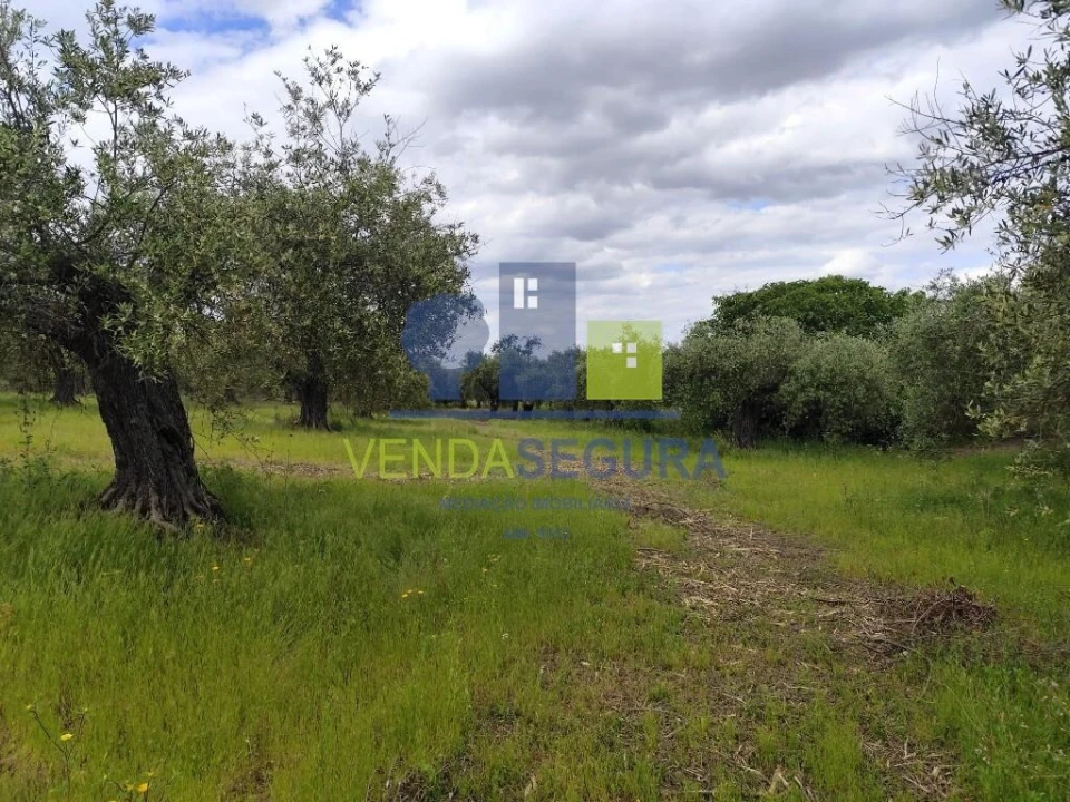 Terreno para Venda em Sobral da Adiça Foto 8