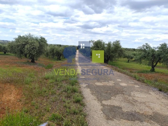 Terreno para Venda em Sobral da Adiça Foto 2