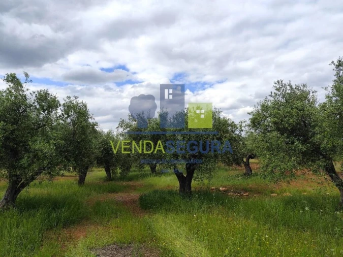 Terreno para Venda em Sobral da Adiça Foto 10