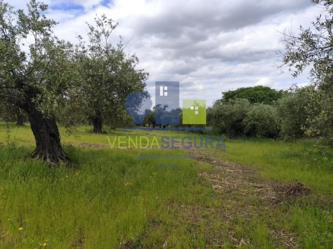 Terreno para Venda em Sobral da Adiça Foto 8