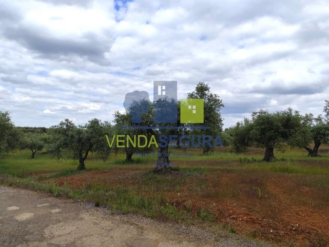 Terreno para Venda em Sobral da Adiça Foto 3