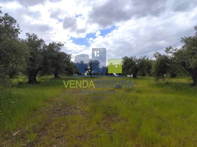 Terreno para Venda em Sobral da Adiça Foto 6