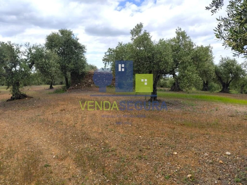 Terreno para Venda em Sobral da Adiça Foto 4