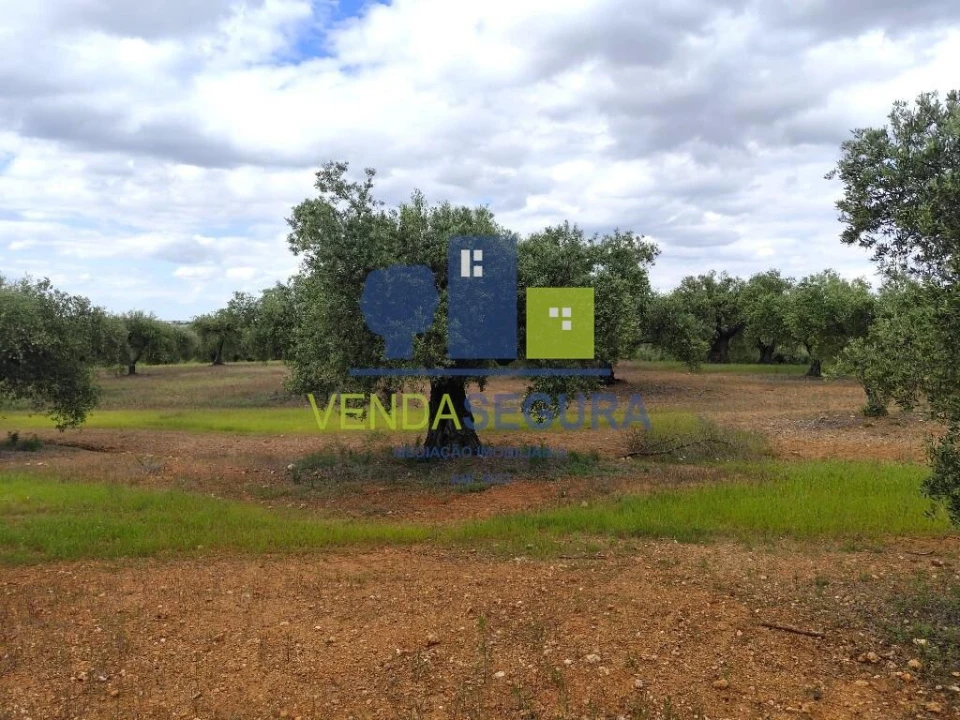 Terreno para Venda em Sobral da Adiça Foto 5