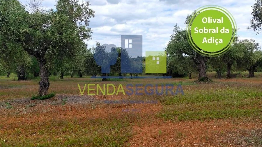 Terreno para Venda em Sobral da Adiça