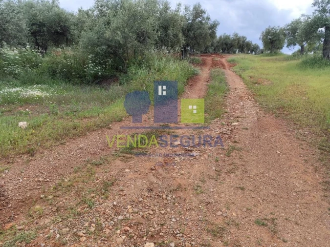 Terreno para Venda em Sobral da Adiça Foto 4