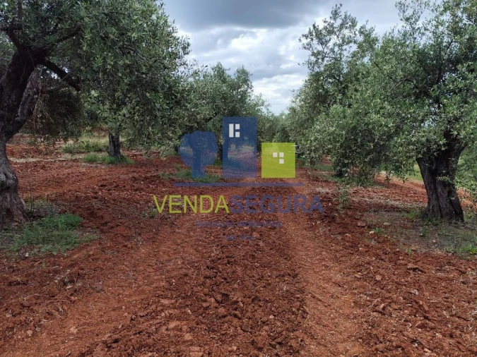 Terreno para Venda em Sobral da Adiça Foto 3