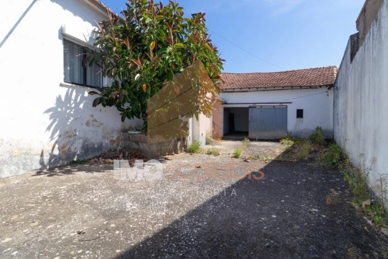 Moradia T3 para Venda em Pernes Foto 23