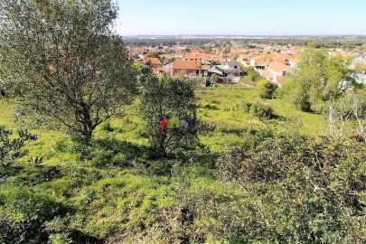 Terreno para Venda em Palmela