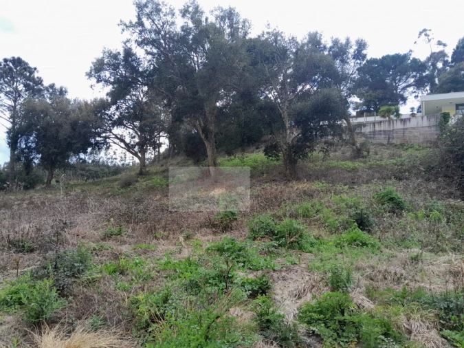 Terreno para Venda em Salir de Matos Foto 5