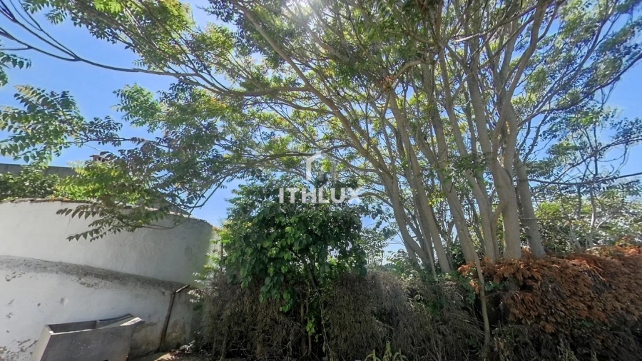 Moradia T1 para Venda em Monforte Foto 5