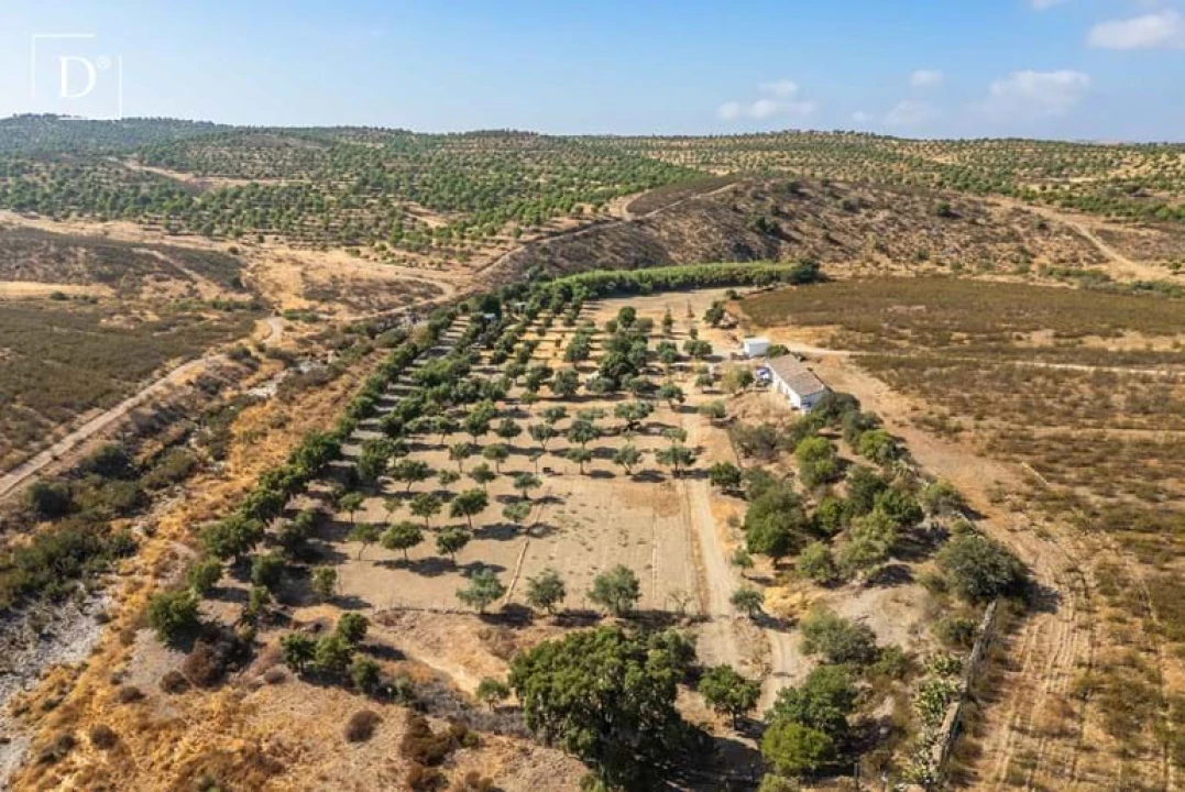 Moradia T2 para Venda em Mertola Foto 14