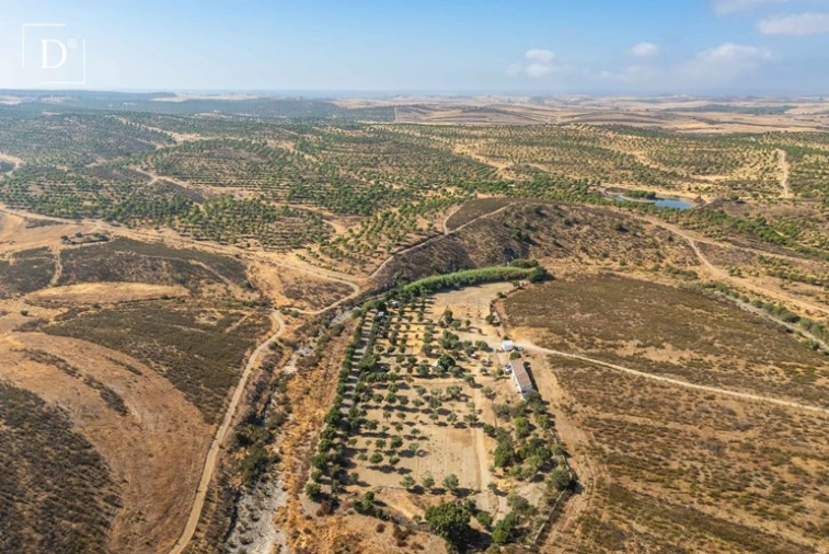 Moradia T2 para Venda em Mertola Foto 15