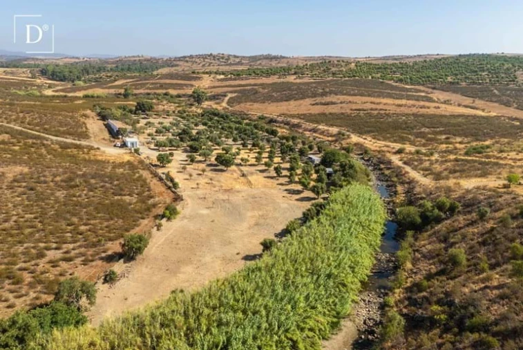 Moradia T2 para Venda em Mertola Foto 13