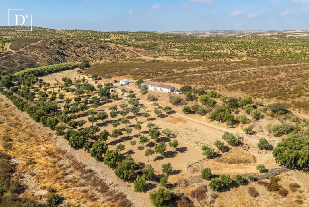 Moradia T2 para Venda em Mertola Foto 3