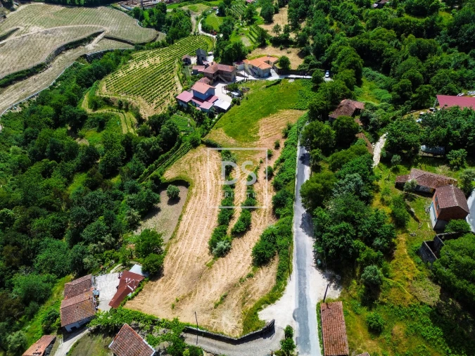 Terreno Agricola ou Rústico para Venda em Avessadas e Rosém Foto 4