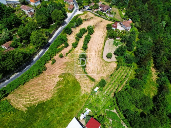 Terreno Agricola ou Rústico para Venda em Avessadas e Rosém Foto 4