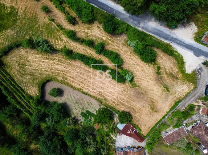 Terreno Agricola ou Rústico para Venda em Avessadas e Rosém Foto 2