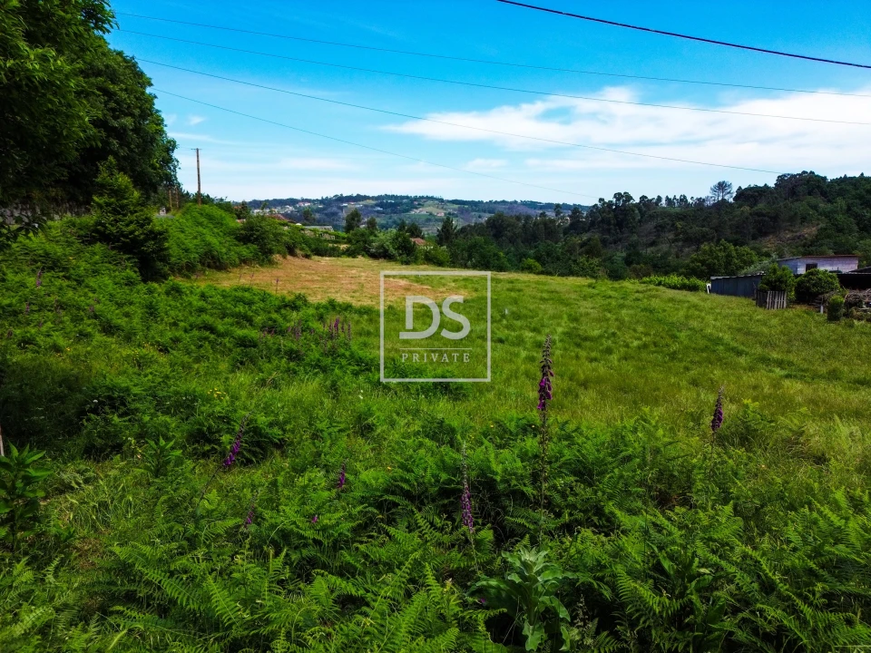 Terreno Agricola ou Rústico para Venda em Avessadas e Rosém Foto 5
