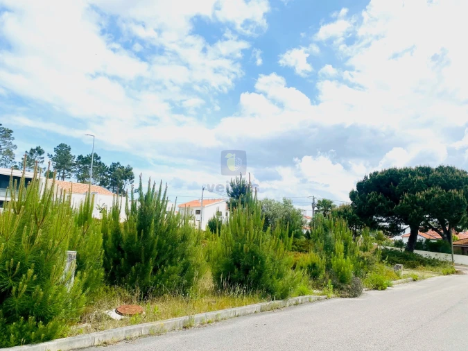 Terreno para Venda em Nadadouro Foto 13