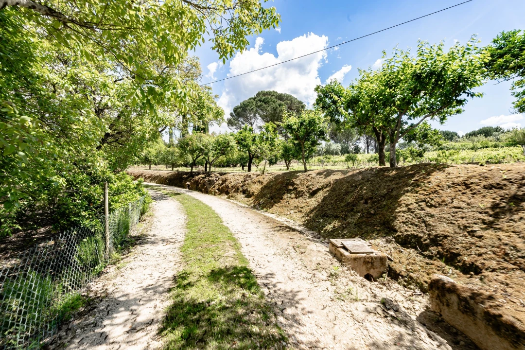 Quinta T5 para Venda em Souselas e Botão Foto 50