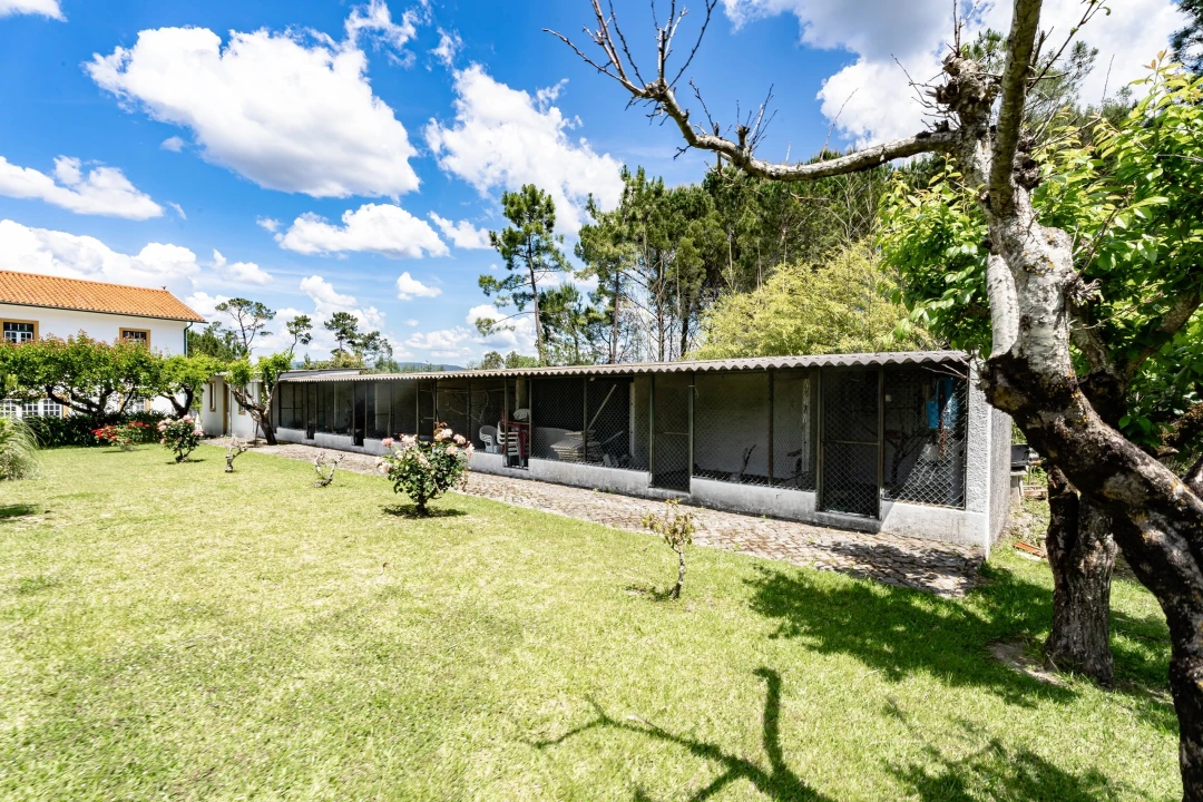 Quinta T5 para Venda em Souselas e Botão Foto 8