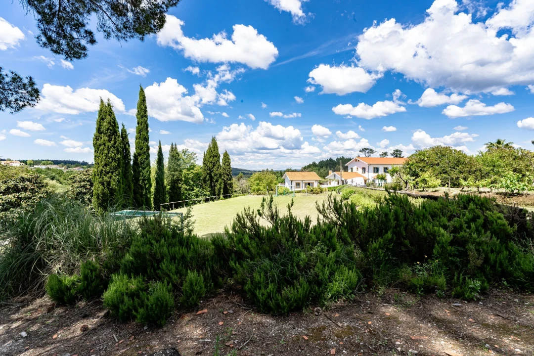 Quinta T5 para Venda em Souselas e Botão Foto 12