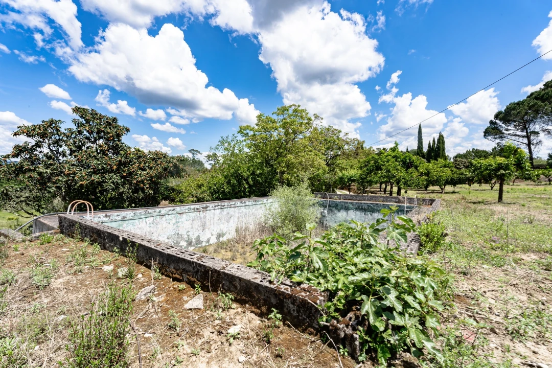 Quinta T5 para Venda em Souselas e Botão Foto 53