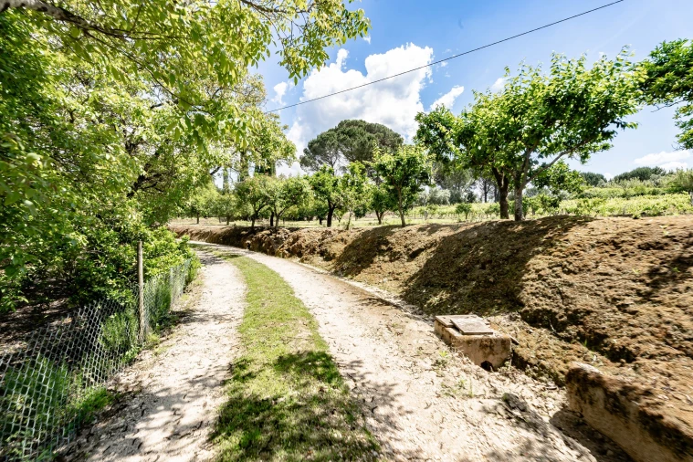 Quinta T5 para Venda em Souselas e Botão Foto 50